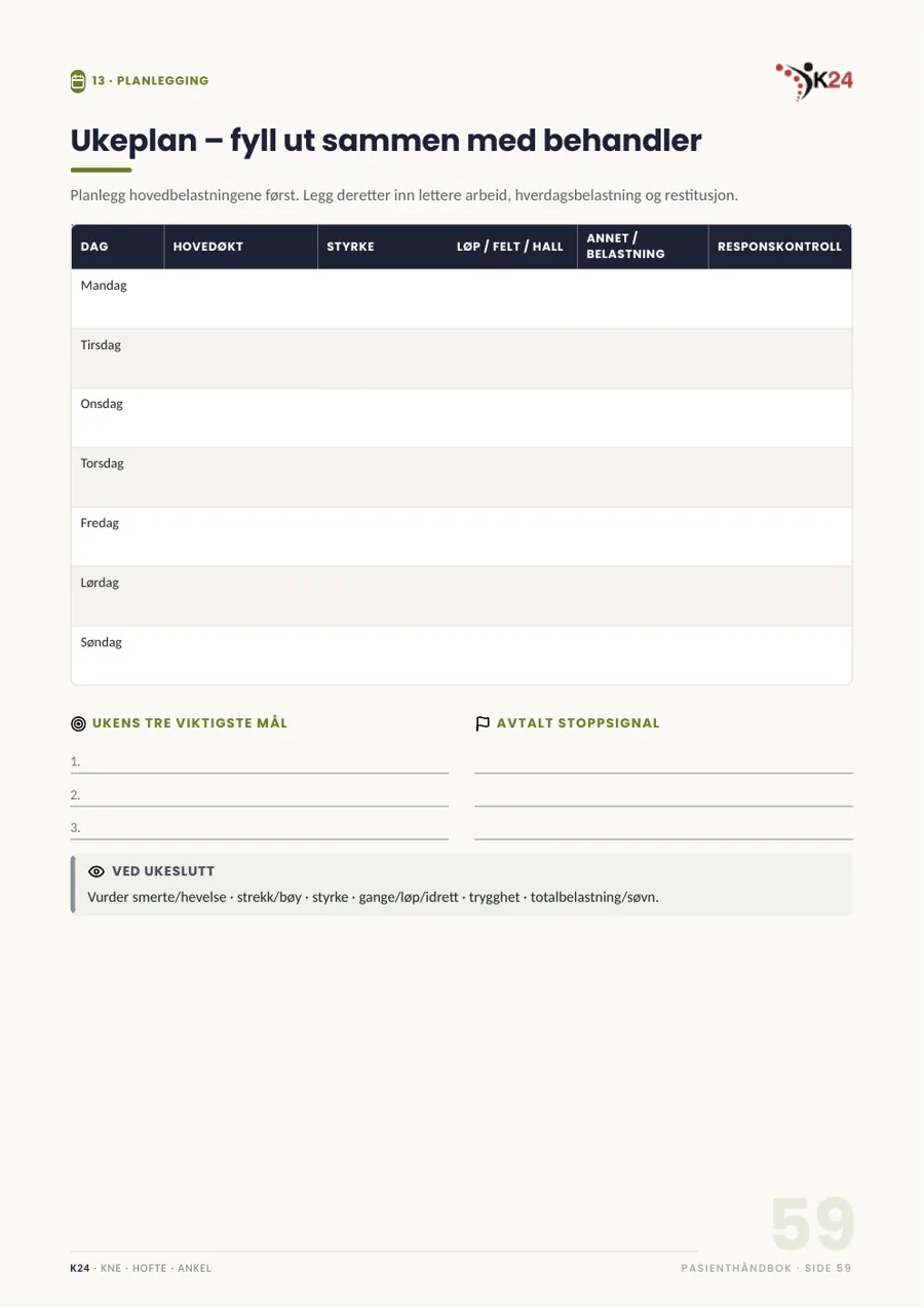 Forhåndsvisning av ukeplan som fylles ut sammen med behandler